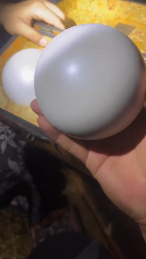 摆件贝壳白色大圆珠一个