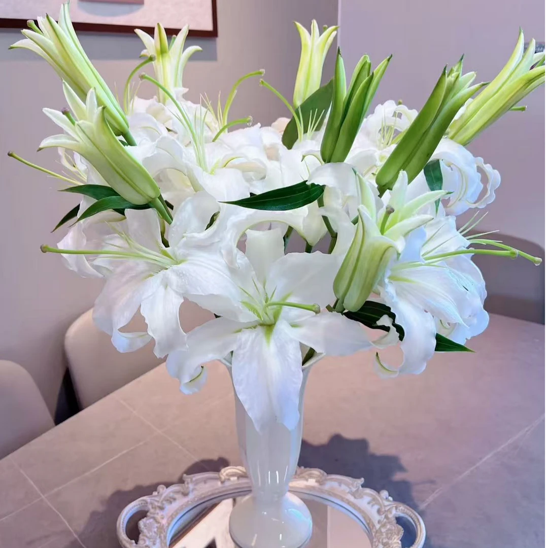 【白色香水百合15朵】 同一地址两单升级冷链送货上门，三单升级空运