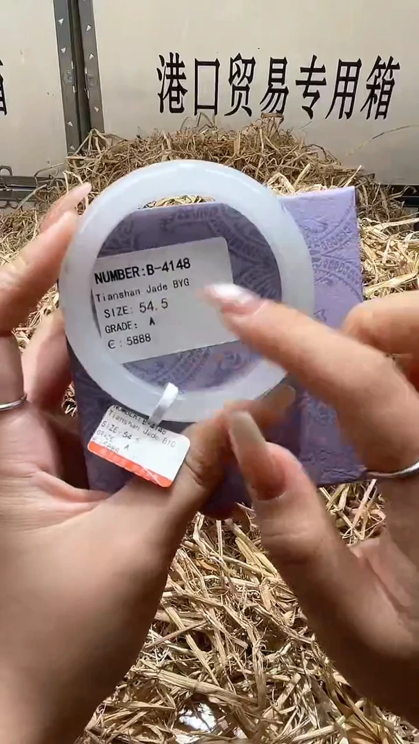 未镶嵌手镯石英质玉B4148Z