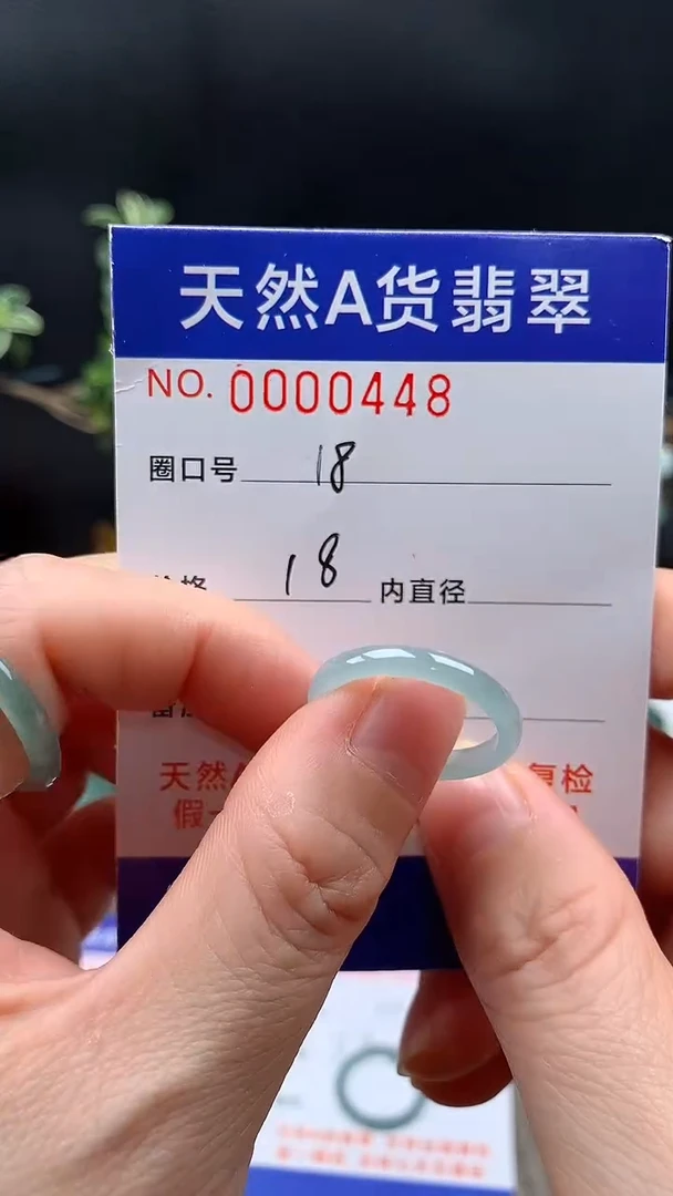 未镶嵌戒指翡翠18#