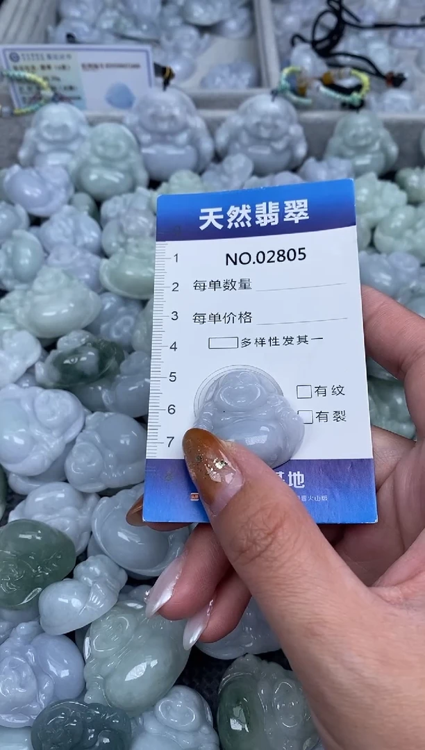 颈饰未镶嵌翡翠纯天然A货翡翠2805