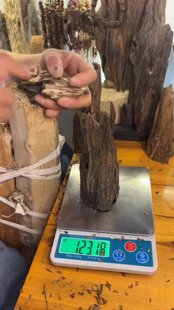 沉香沉香碎屑奇楠沉香123克