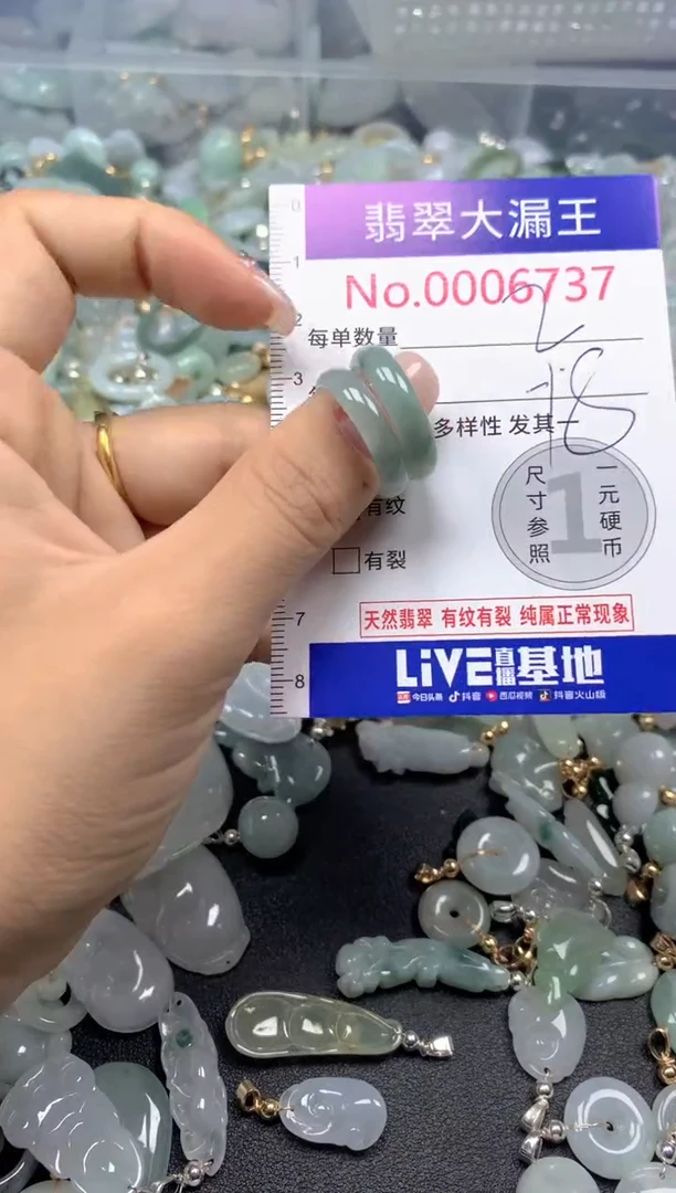 颈饰未镶嵌翡翠6737