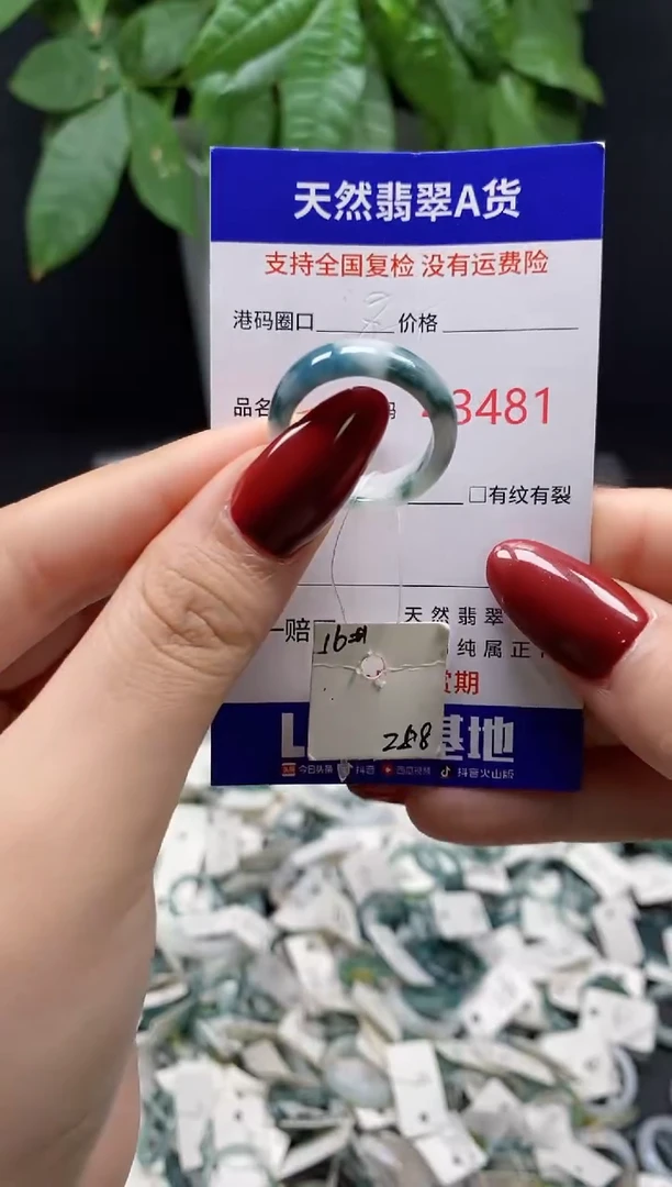 翡翠戒指未镶嵌 天然翡翠戒圈3481
