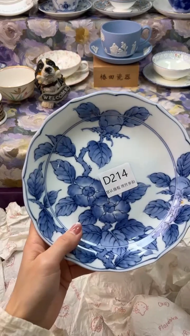 瓷片叶**一瓷片瓷片    D 214