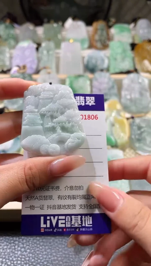 翡翠未镶嵌颈饰000012345
