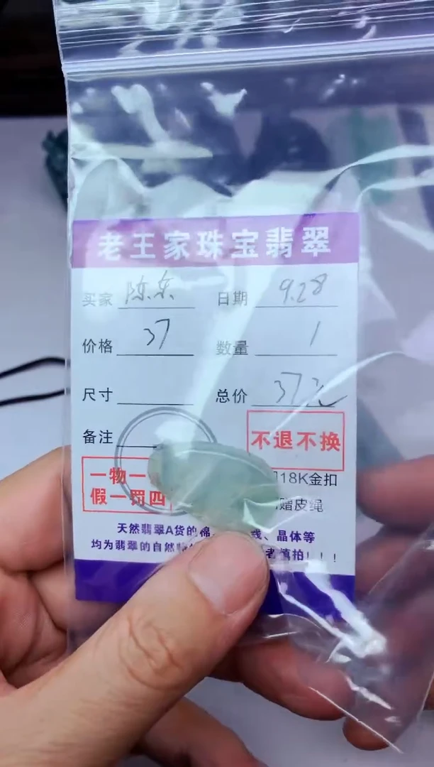 颈饰未镶嵌翡翠陈*如意