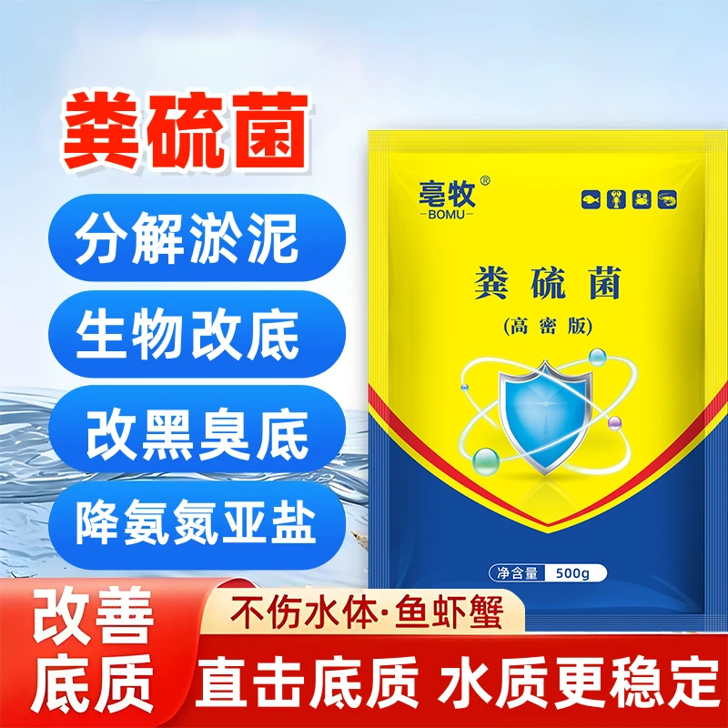 粪硫菌水产专用鱼塘改底颗粒除黑除臭改底净化降硫化氢氨氮亚盐