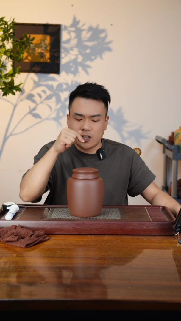 宜兴精品紫砂茶叶罐