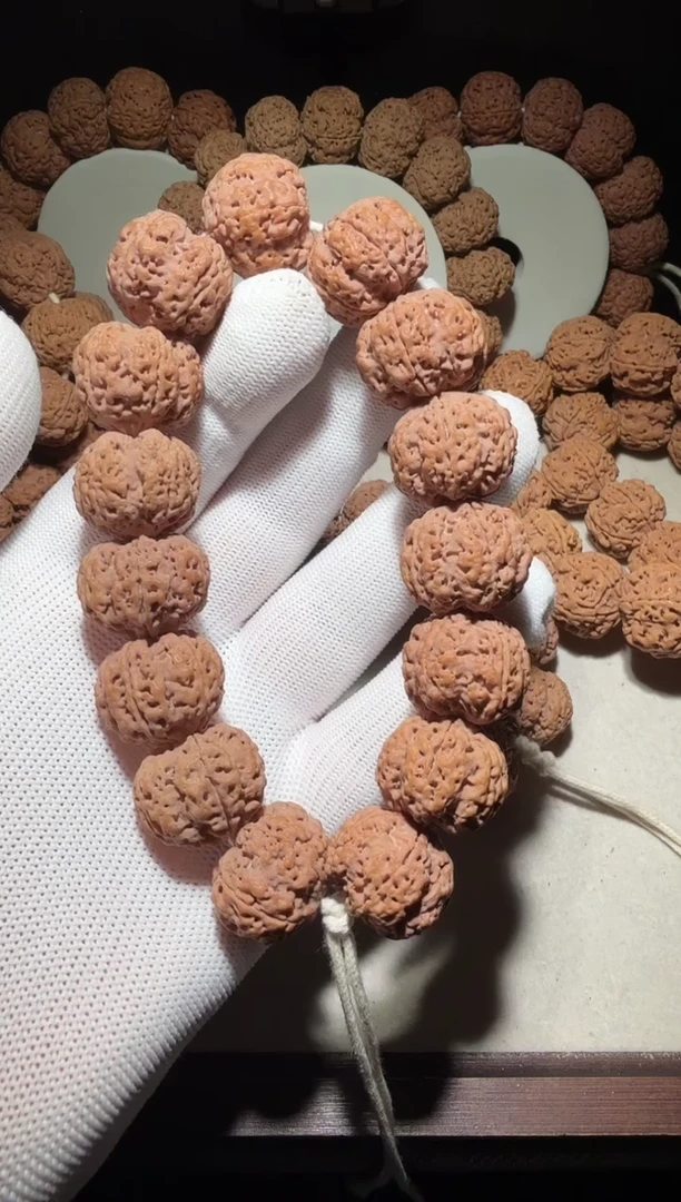 【闪购商品】金刚菩提手串粗筋深沟梅花双龙21