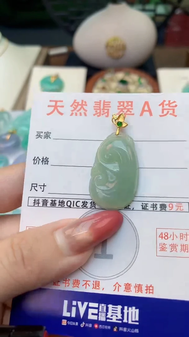 颈饰未镶嵌翡翠天然A货翡翠挂件