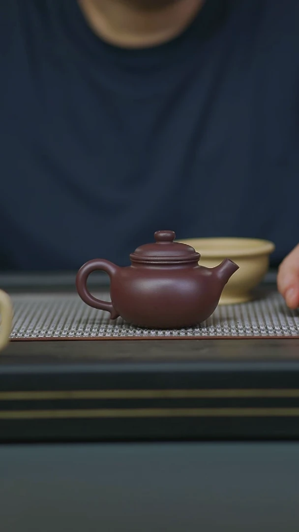 茶壶紫砂07-半手茄皮紫泥容天160cc