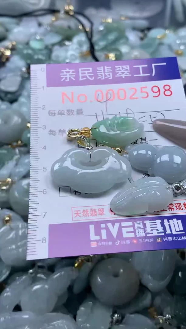 颈饰未镶嵌翡翠2598