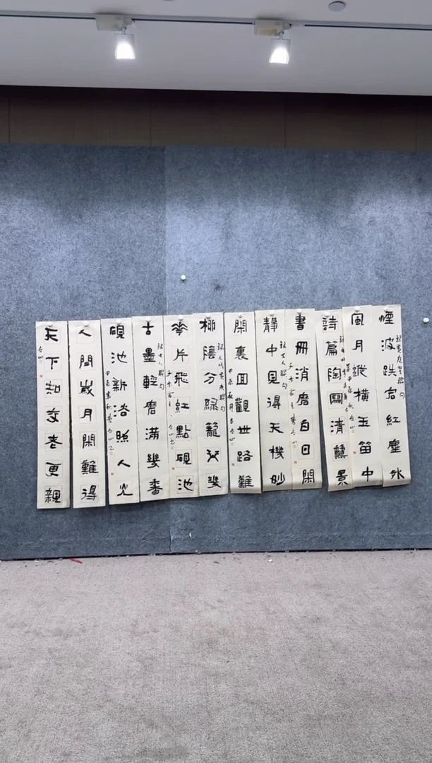 【闪购商品】书法pmw不二轩旗舰店书法CLS15