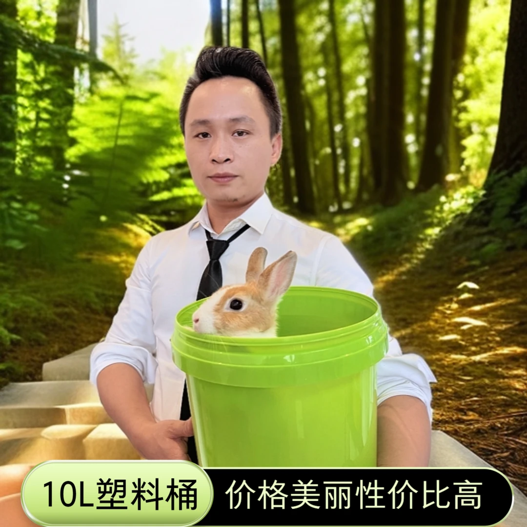 10L圆桶家用加厚手提耐摔水桶带盖装饰垃圾桶卧室专用中号厕所