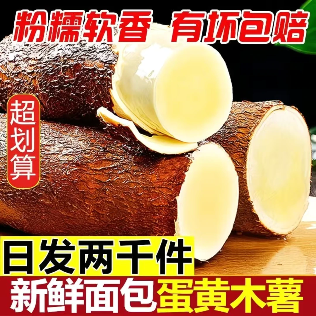 【粉糯软香】广西黄心木薯华南9号黄心木薯木薯羹糖水鸡蛋板栗木薯