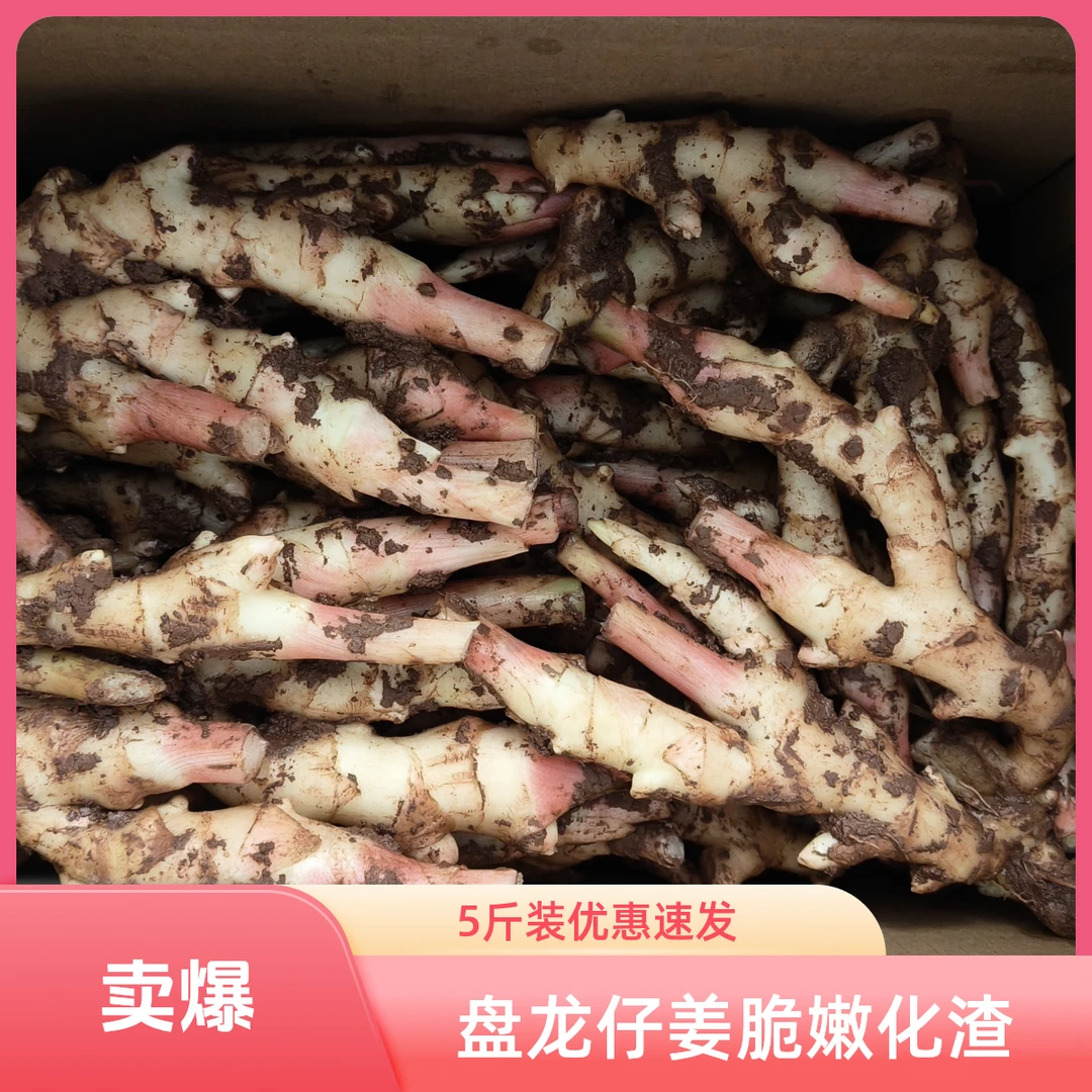荣福农荣昌生姜脆嫩化渣——5斤装