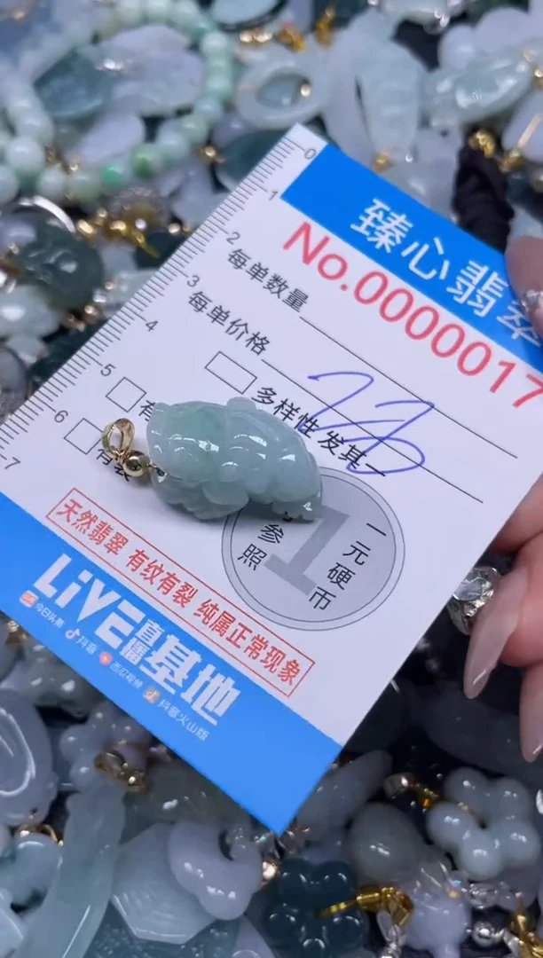 颈饰未镶嵌翡翠17