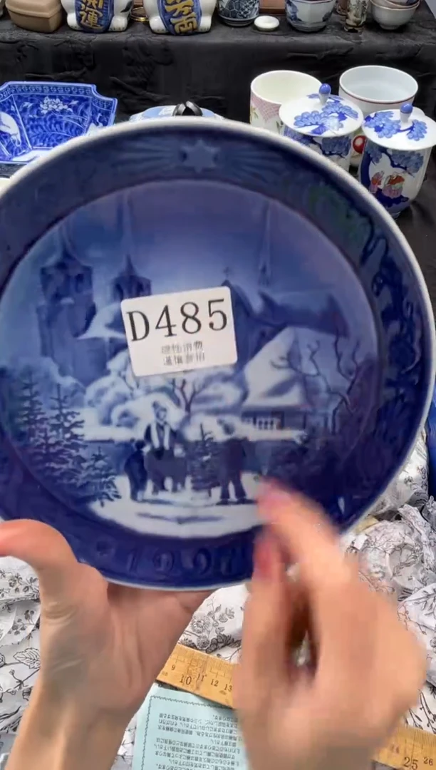 瓷片       D485