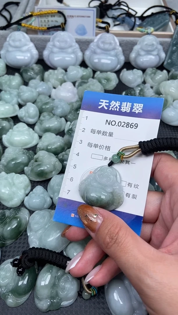 颈饰未镶嵌翡翠纯天然A货翡翠2869