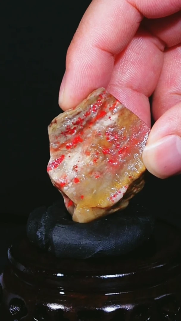 昌化石关**音昌化鸡血石