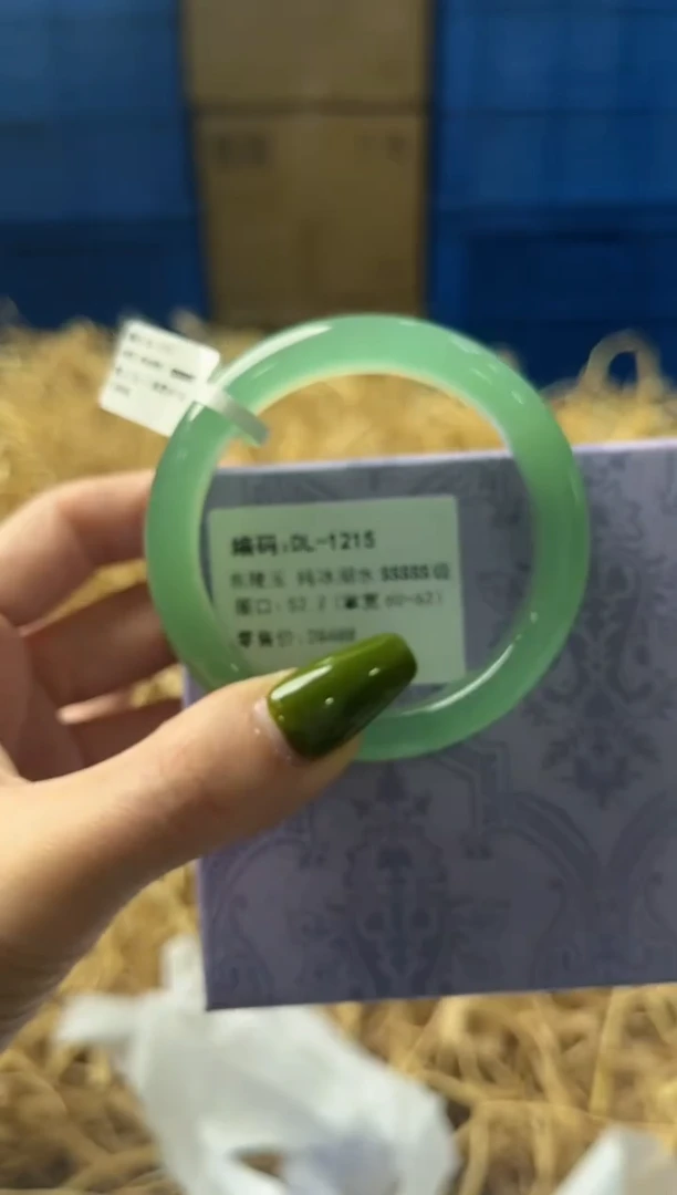 未镶嵌手镯石英质玉DL1215