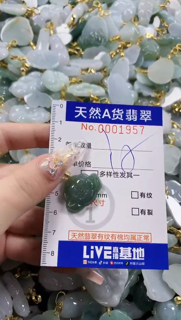 颈饰未镶嵌翡翠天然A货翡翠