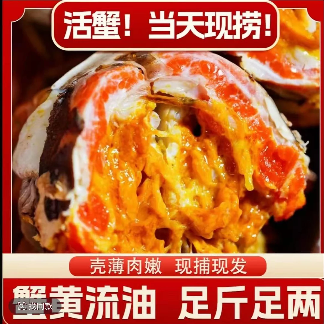 【活蟹】苏州精品大闸蟹公6.0-5.7两母5.0-4.7两10只/8只礼盒装