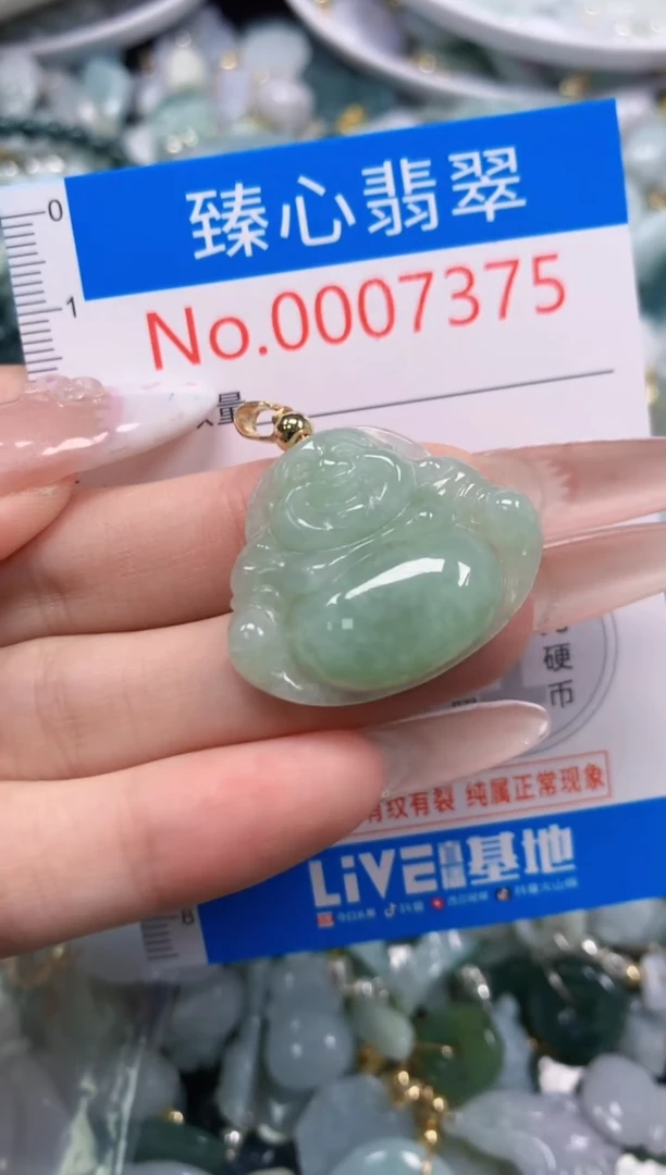 翡翠未镶嵌吊坠(不含链)7375