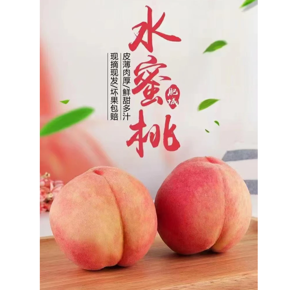 梦丽专属肥城玉妃蜜桃9个装顺丰包邮