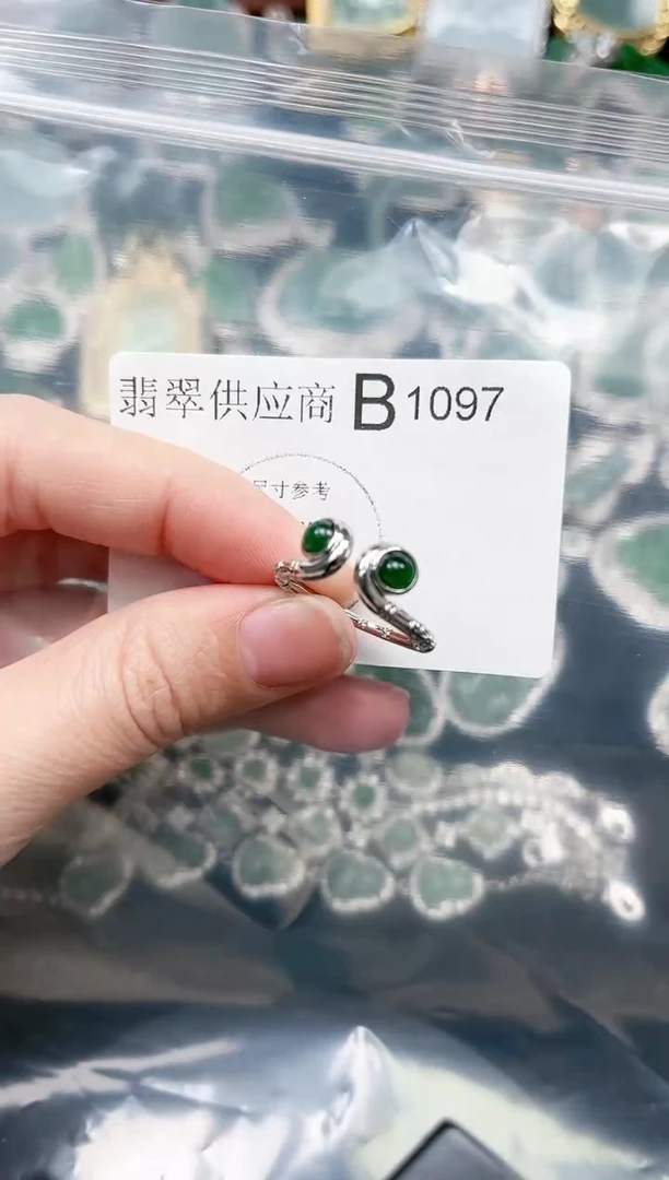 【闪购商品】翡翠颈饰未镶嵌1097赠皮绳