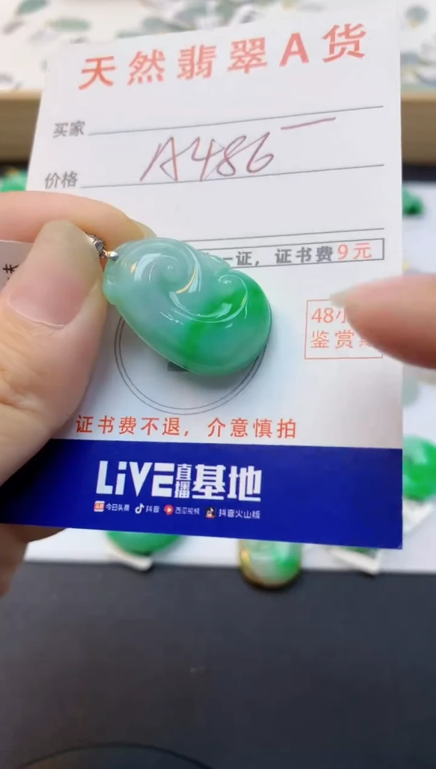 颈饰18K金镶嵌翡翠天然缅甸A货翡翠