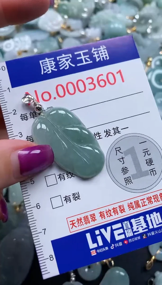 颈饰未镶嵌翡翠3601