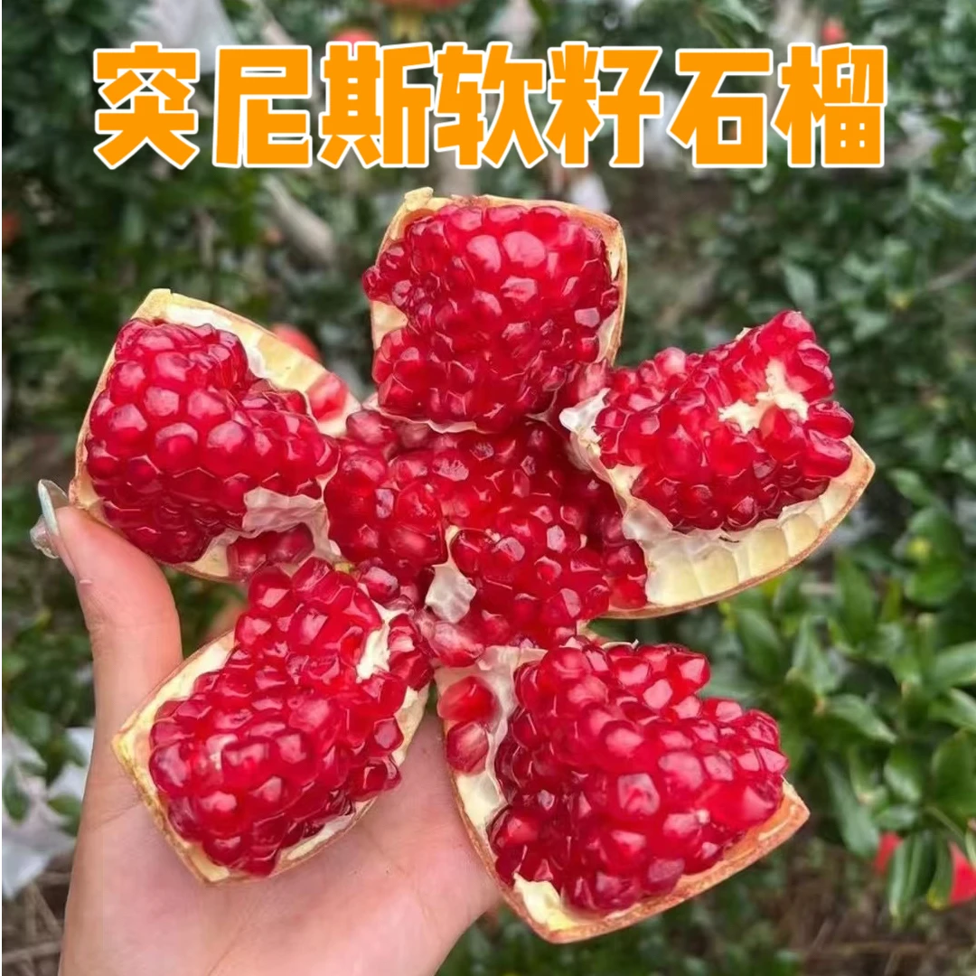 四川会理突尼斯软籽石榴甜蜜多汁新鲜应季水果