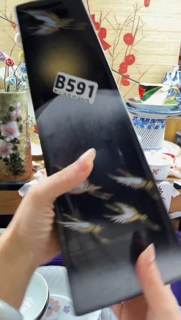 杨*鑫==============b591