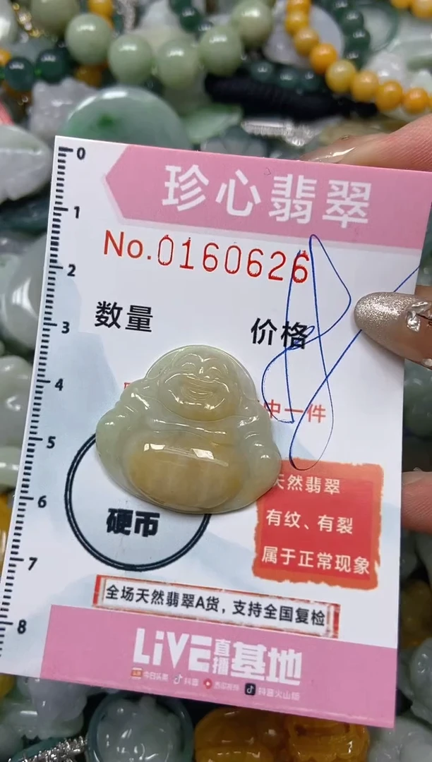 【闪购商品】翡翠颈饰未镶嵌闪购0160626