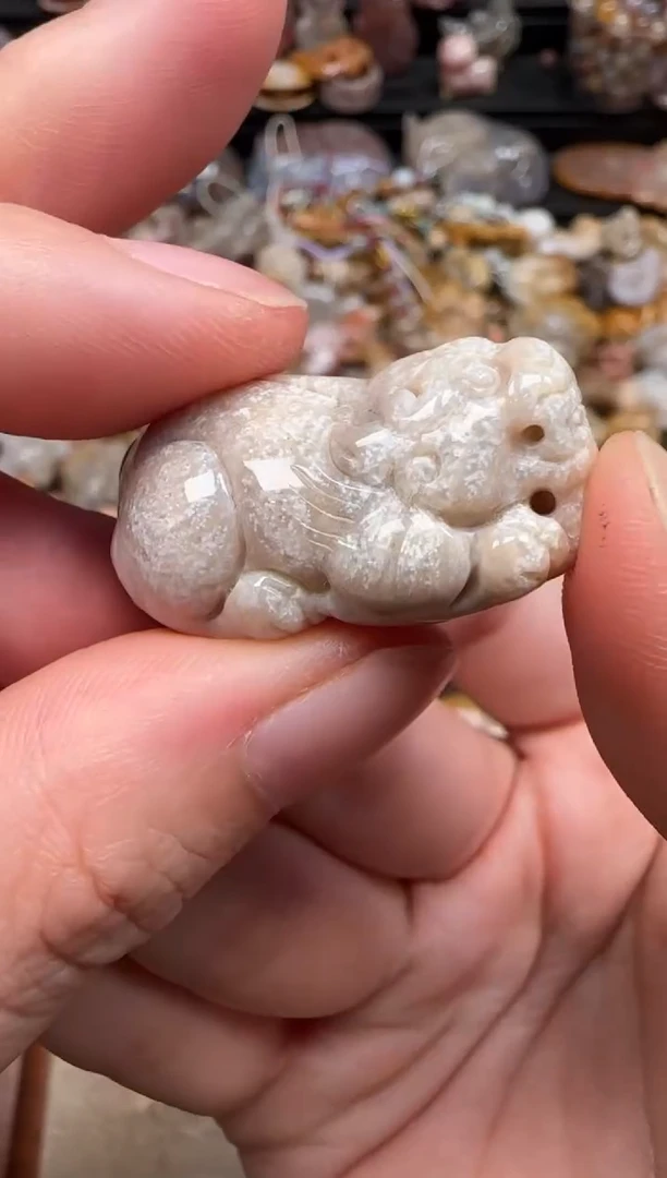 硅化珊瑚（珊瑚玉）未镶嵌颈饰799