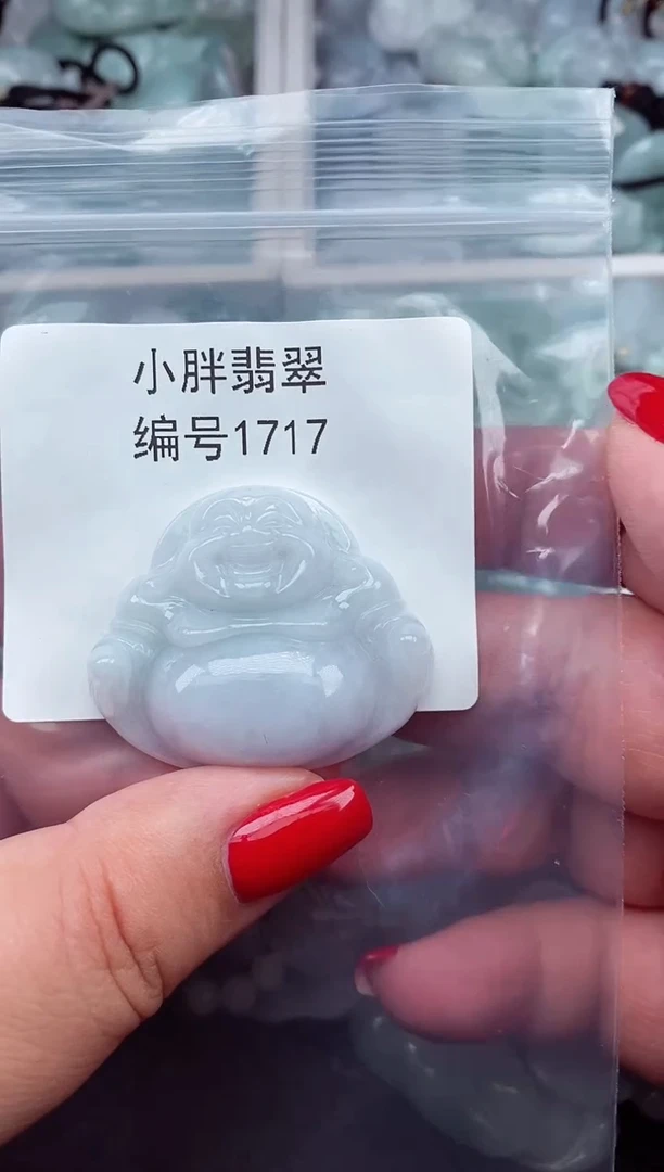 颈饰未镶嵌翡翠缅甸天然A货翡翠1717