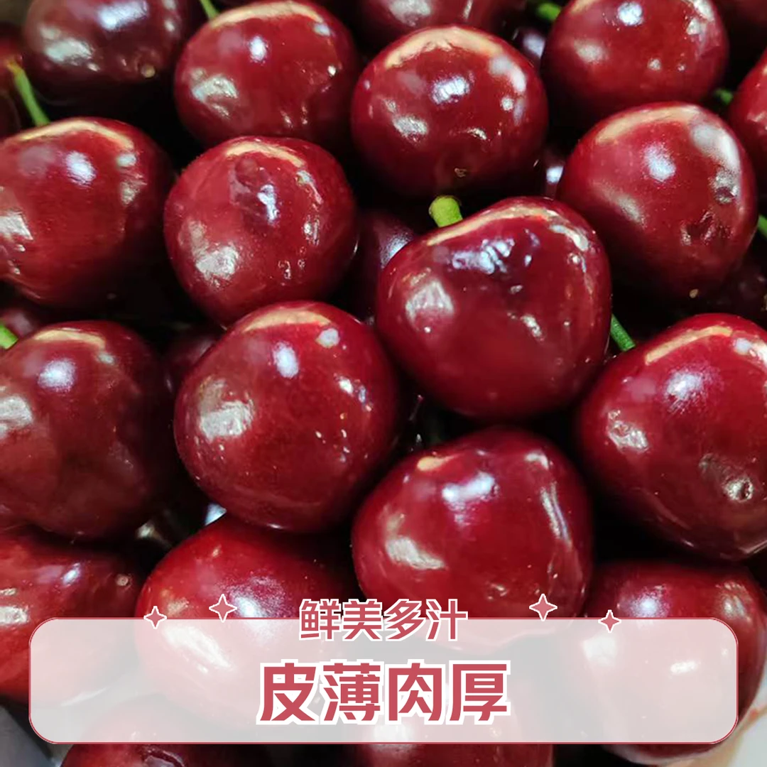 美早大樱桃  皮薄肉厚 鲜美多汁g L美早