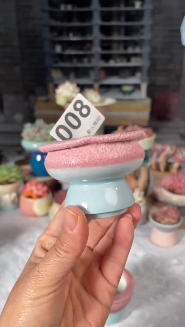 瓷片008小芳直播编号