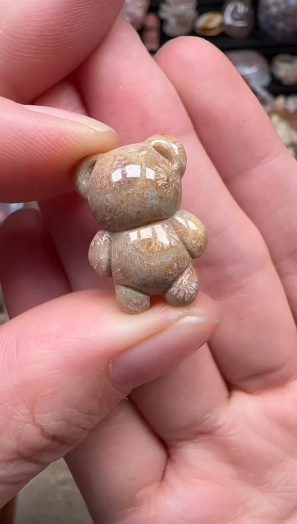 颈饰未镶嵌硅化珊瑚（珊瑚玉）545