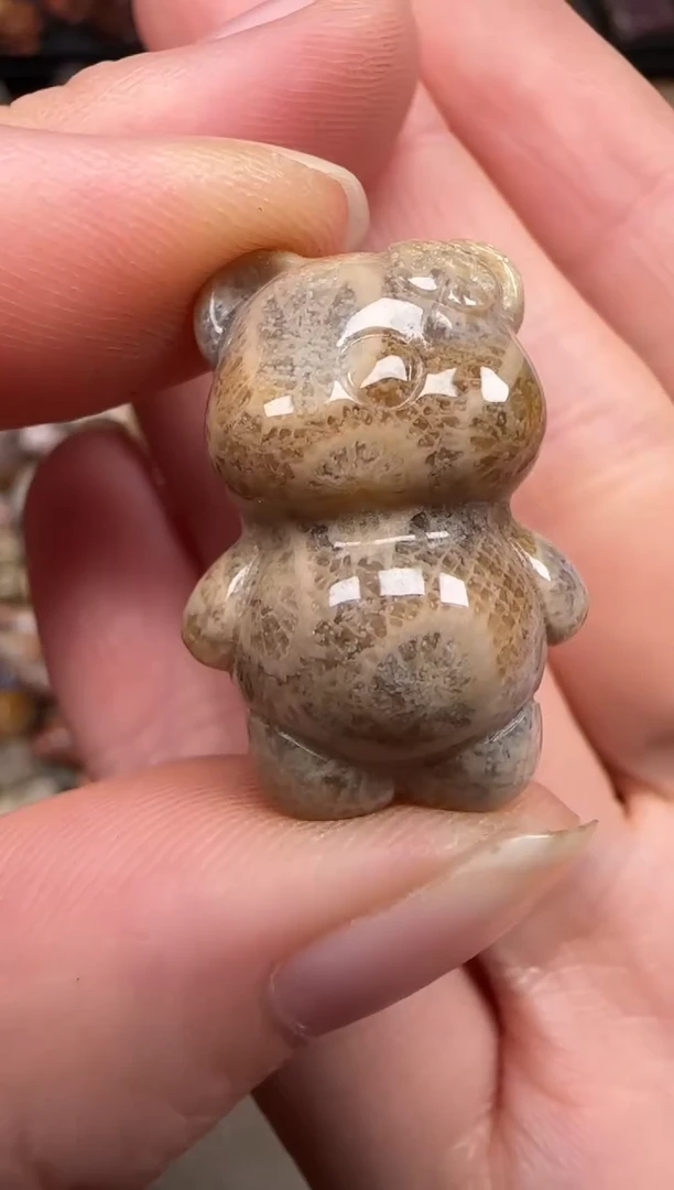 硅化珊瑚（珊瑚玉）未镶嵌颈饰280