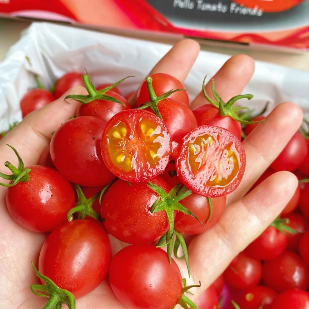 【千禧果】新鲜约480g/份广东省