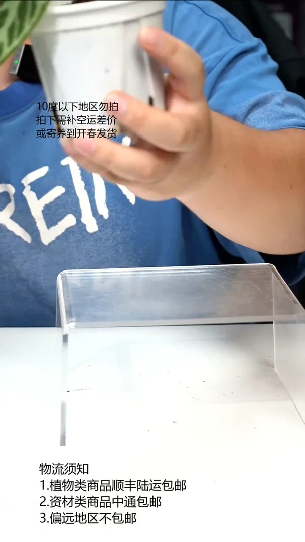 完全开放银虎*银刷子