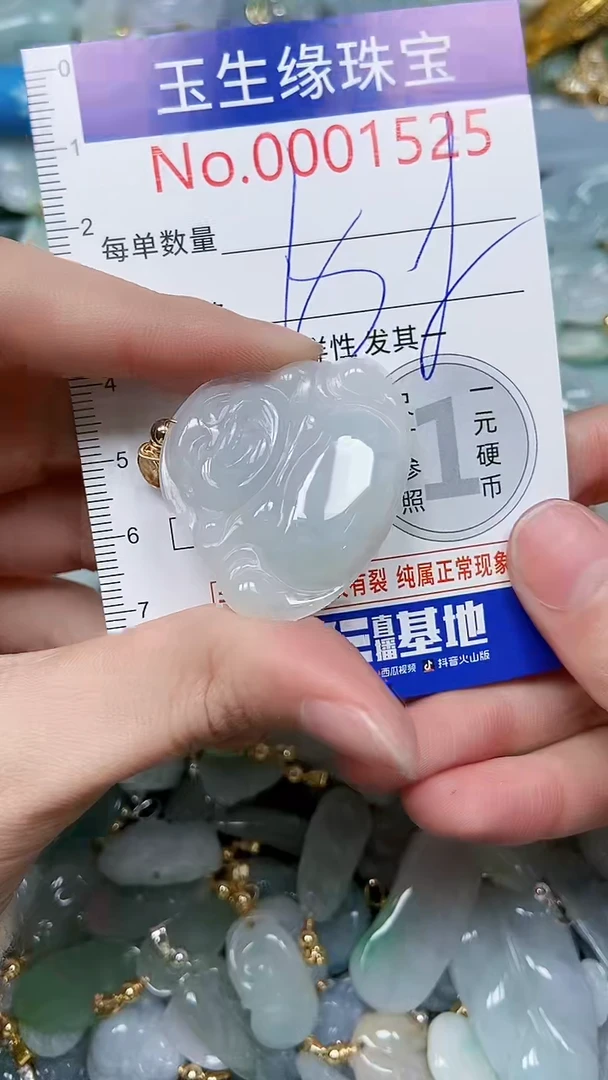 【闪购商品】翡翠颈饰未镶嵌闪购00001525