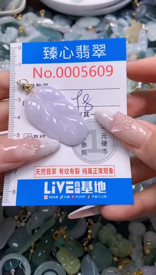 翡翠未镶嵌吊坠(不含链)5609