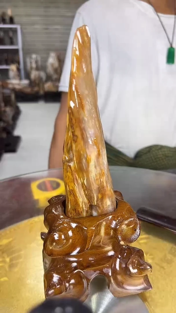 硅化玉珠宝奇石未镶嵌缅甸天然树化玉