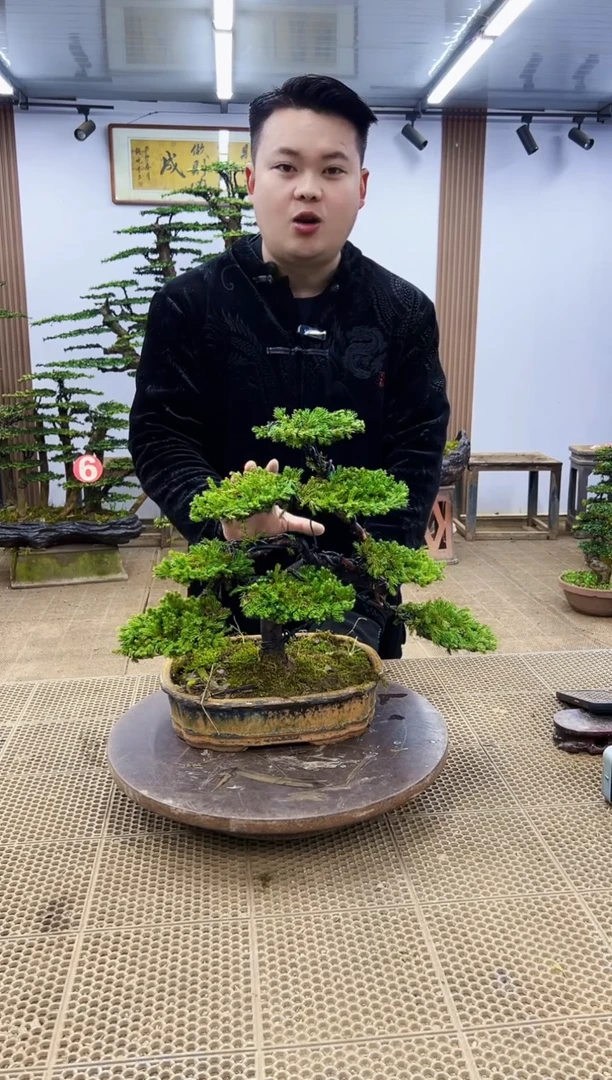 【闪购商品】000000000