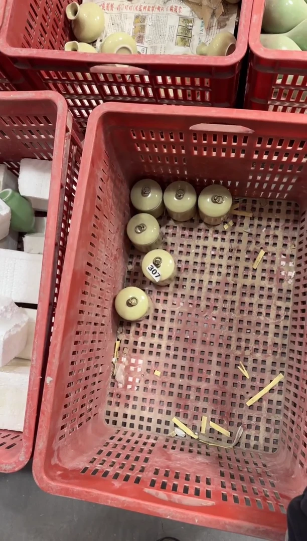 【307 】 八哥专拍