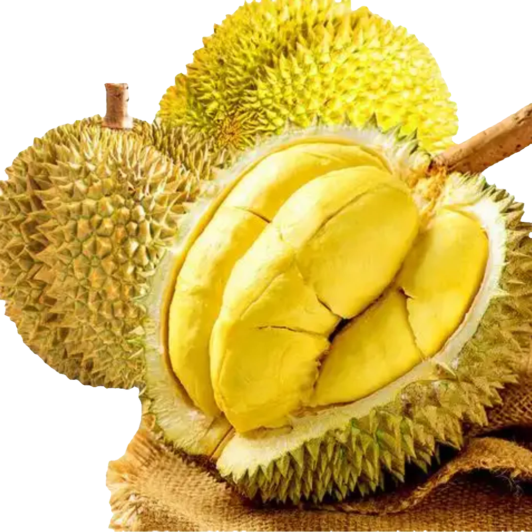 小源次日达）金枕鲜榴莲3-6.5斤核小榴莲同城送金枕泰国东部